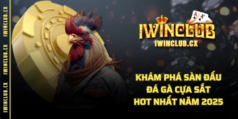 Khám phá sàn đấu đá gà cựa sắt hot nhất năm 2025