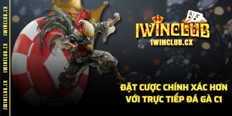 Đặt cược chính xác hơn với trực tiếp đá gà C1