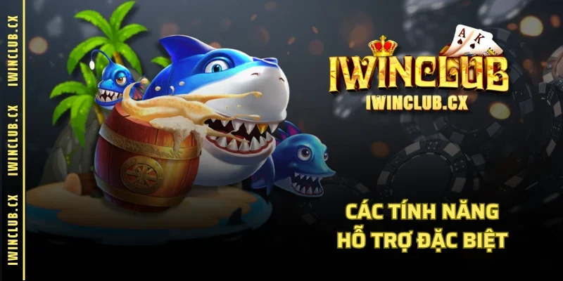 Các tính năng hỗ trợ đặc biệt