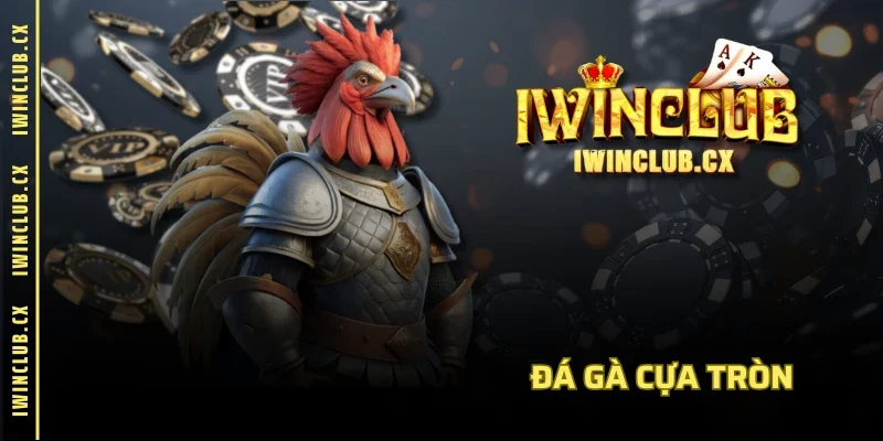 Đá gà cựa tròn