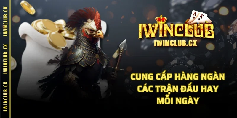 Cung cấp hàng ngàn các trận đấu hay mỗi ngày