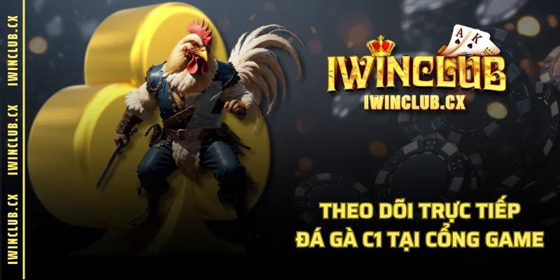 Theo dõi trực tiếp đá gà C1 tại cổng game